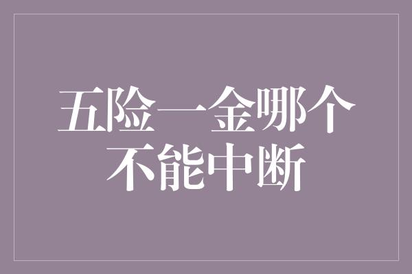 五险一金哪个不能中断