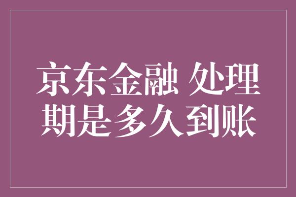 京东金融 处理期是多久到账