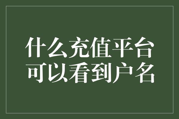 什么充值平台可以看到户名