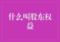 什么叫股东权益：深入解析股东权益的本质与权益