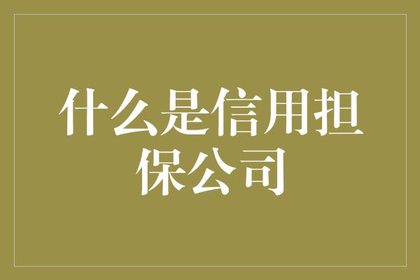 什么是信用担保公司