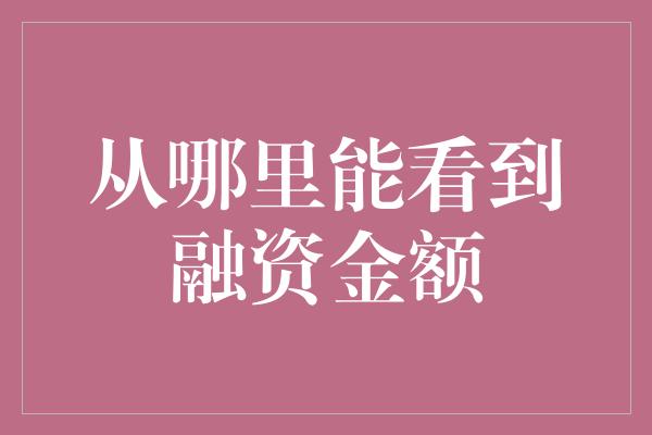 从哪里能看到融资金额