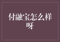 付融宝：金融界的隐形冠军