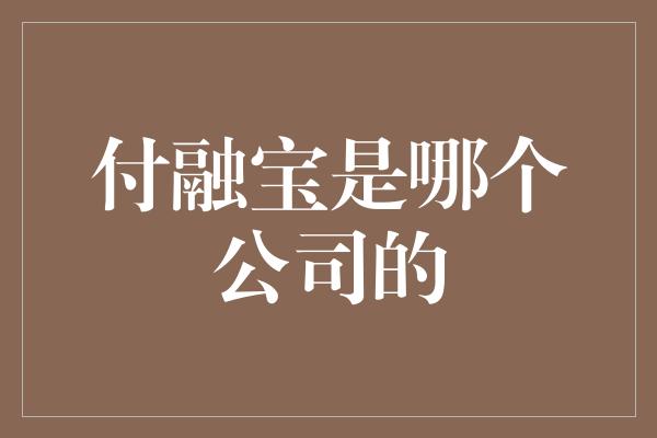 付融宝是哪个公司的