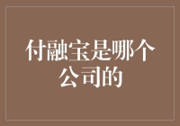 付融宝：微贷网科技有限公司的线上借贷服务平台解析