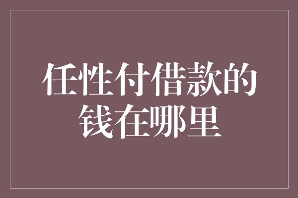 任性付借款的钱在哪里