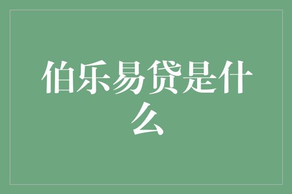 伯乐易贷是什么