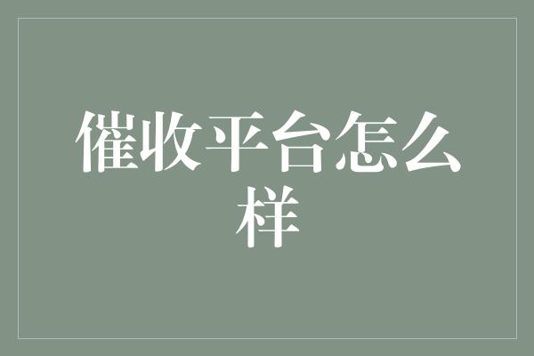 催收平台怎么样