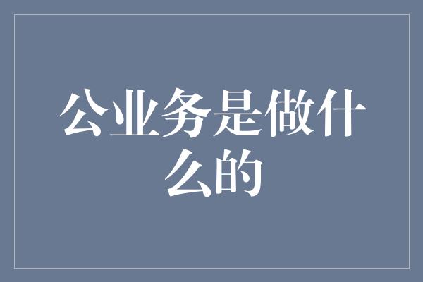 公业务是做什么的