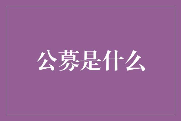 公募是什么