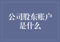 公司股东账户的多重面貌：财务透明与权益保障的纽带