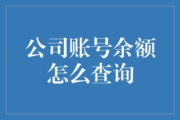 公司账号余额怎么查询