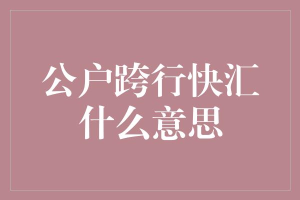 公户跨行快汇什么意思