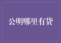 公明小额贷款的优化策略与金融创新路径探析