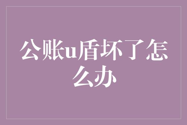 公账u盾坏了怎么办