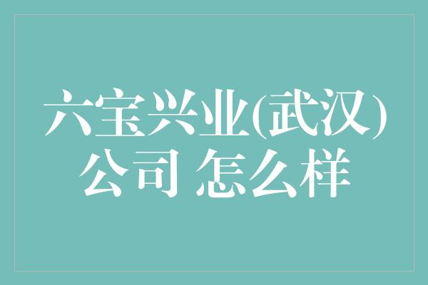 六宝兴业(武汉)公司 怎么样