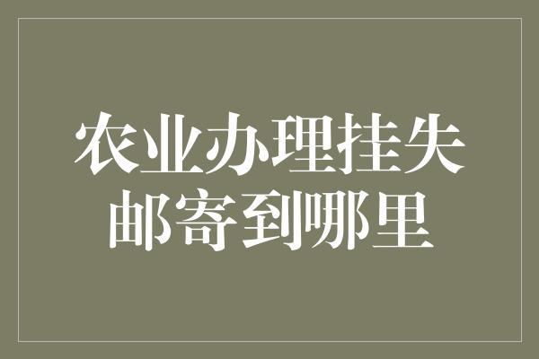 农业办理挂失邮寄到哪里