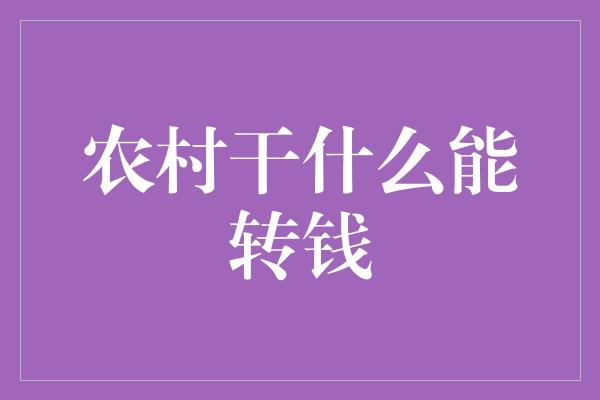 农村干什么能转钱