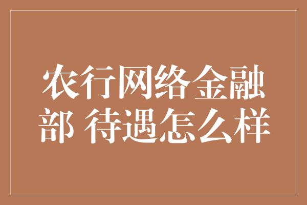 农行网络金融部 待遇怎么样