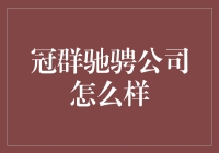 冠群驰骋公司：金融科技领域的创新者与领导者