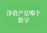 净资产是哪个数字：深度解读企业财务健康状况的关键指标