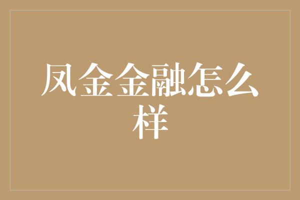 凤金金融怎么样