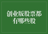 中国创业版市场上的重点股票及其特征分析