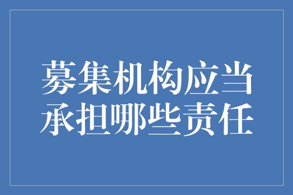 募集机构应当承担哪些责任