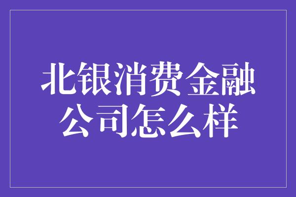 北银消费金融公司怎么样