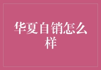 华夏自销：探索未来企业自销售模式的创新路径