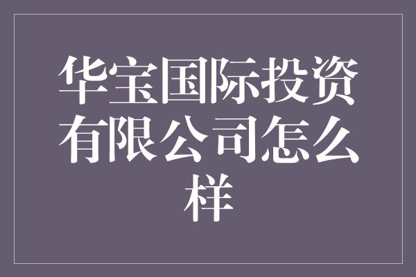 华宝国际投资有限公司怎么样