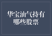 华宝油气持仓解析：精准布局全球油气领域，多元化投资策略彰显实力