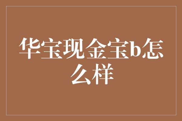 华宝现金宝b怎么样