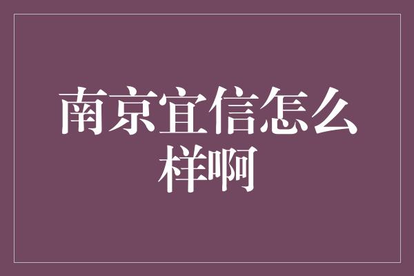 南京宜信怎么样啊