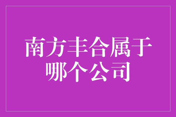 南方丰合属于哪个公司