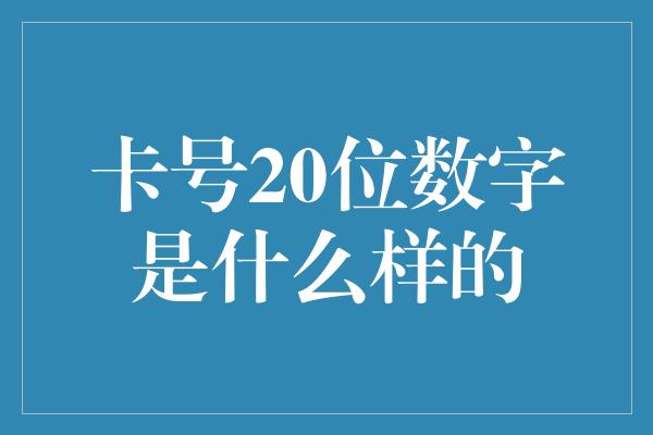 卡号20位数字是什么样的