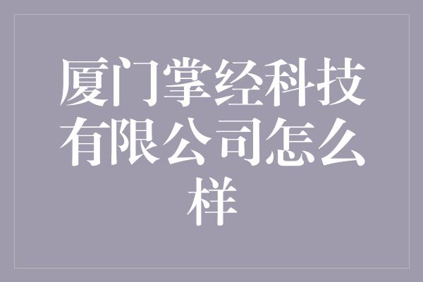 厦门掌经科技有限公司怎么样