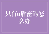 只有U盾密码怎么办？小白也能搞定的终极指南