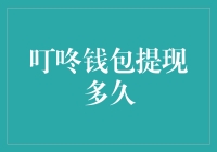 叮咚钱包提现：解密资金流转背后的秘密