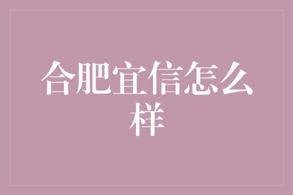 合肥宜信怎么样