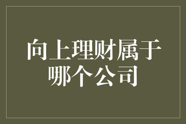 向上理财属于哪个公司