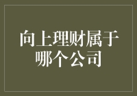 向上理财：专注于提供个性化财富管理解决方案的金融科技公司