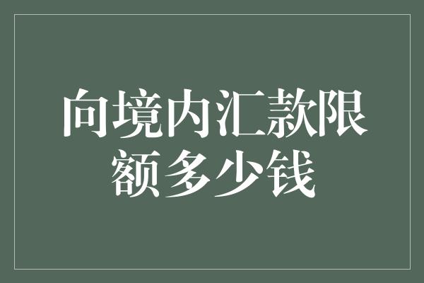 向境内汇款限额多少钱