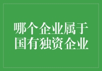 国有独资企业：国有企业中的璀璨明珠