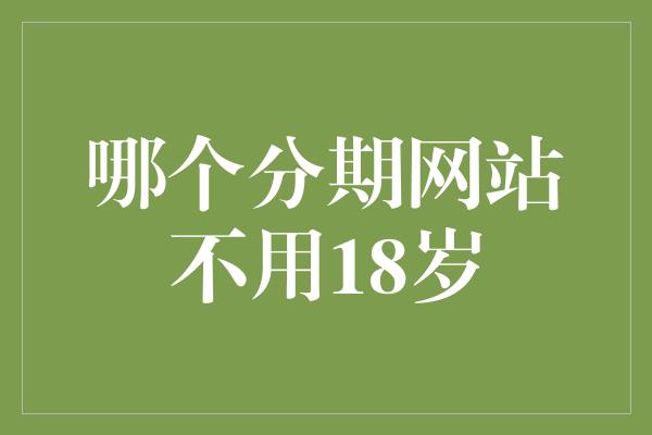 哪个分期网站不用18岁