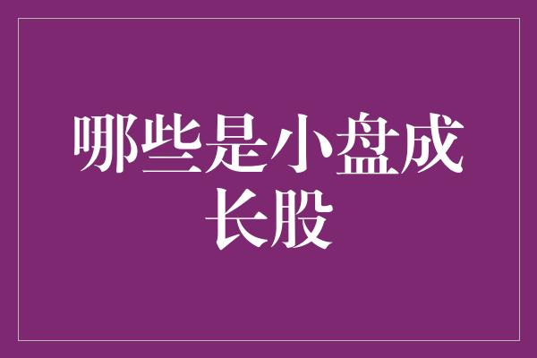 哪些是小盘成长股