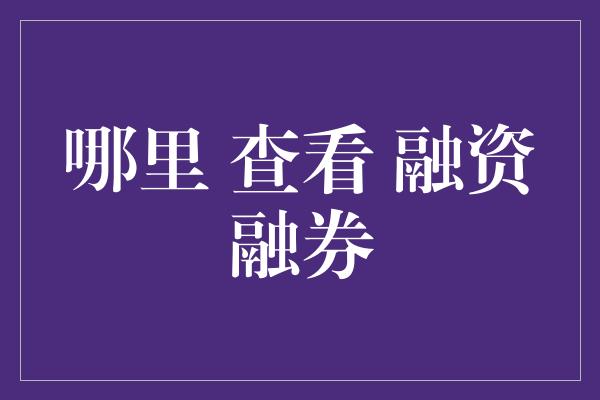 哪里 查看 融资融券