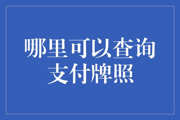 哪里可以查询支付牌照