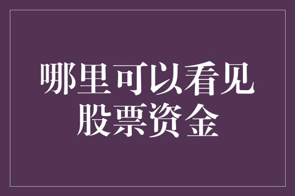 哪里可以看见股票资金