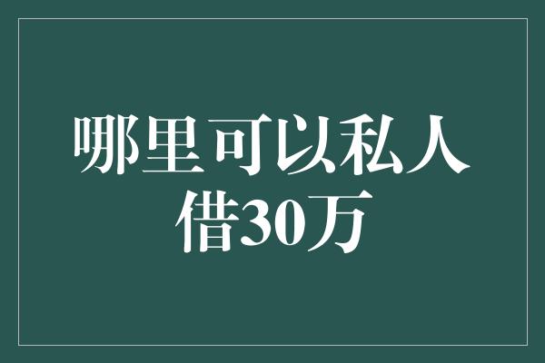 哪里可以私人借30万